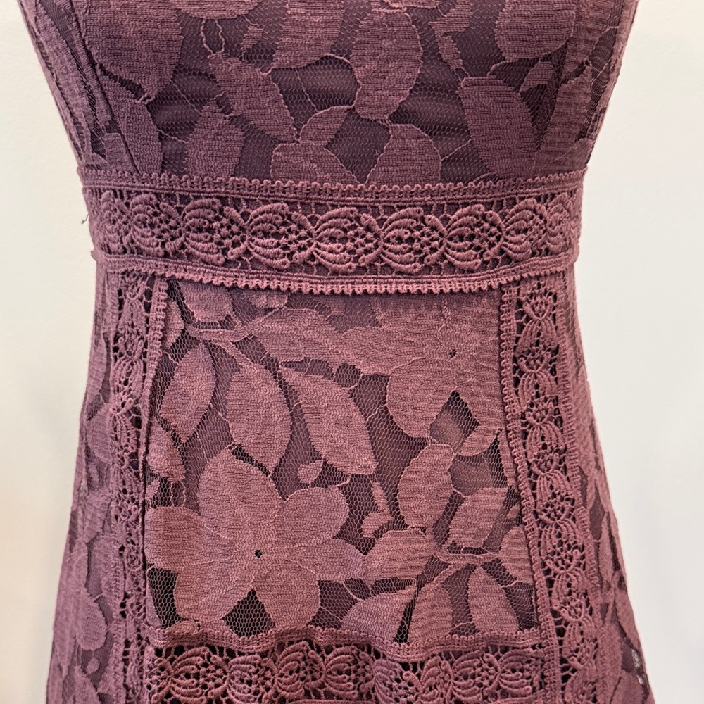 Alter'd State Dusty Plum Colored Lace Sleeveless Dress Size Small - Picture 3 of 14